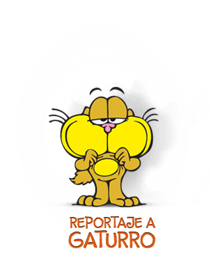 ver entrevista gaturro